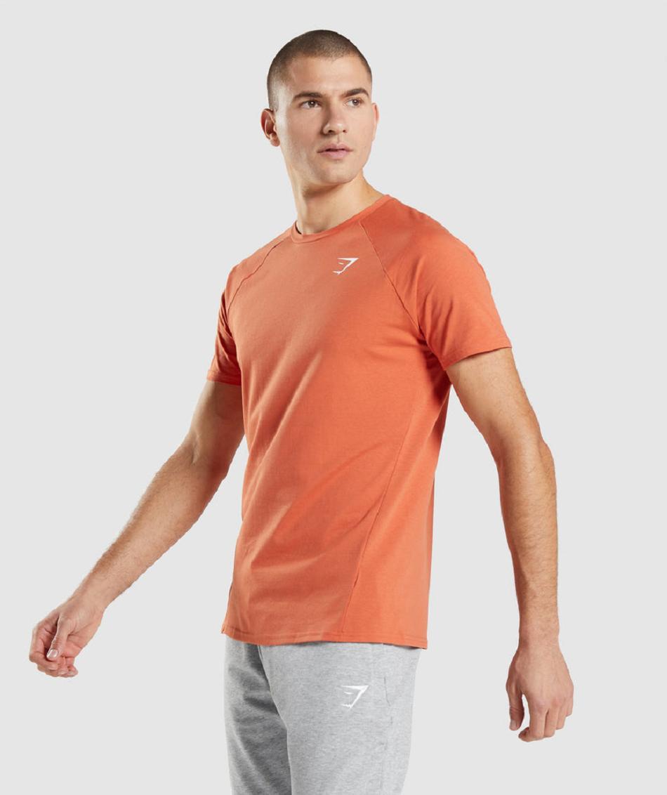 Gymshark Critical Muške T Shirts Narančaste | HR 2375BEX